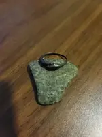 ring.webp