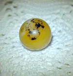 20240124_192319.webp