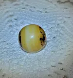 20240124_192501.webp