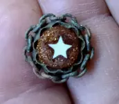 star button.webp
