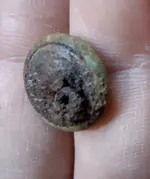 two piece button front (2).webp