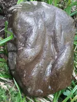 rock1.webp