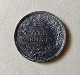 Shilling Back.webp