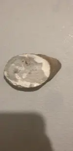 1709320697149397841014667551986.webp