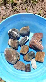 20240302_125028.webp