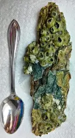 3-3-24-TwistedFibers-Top-Full-Scale.webp 3-3-24-TwistedFibers-Top-Full-Scale.webp