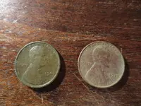 Finds 030424.webp