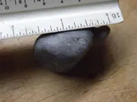 Native Fish Weight 2.jpg
