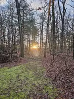 20231229_074432.webp