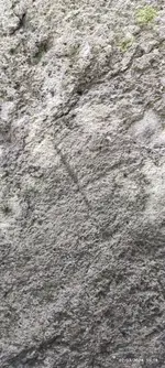 1709718948126.webp