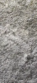 1709718948120.webp