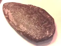 arrowhead 1.webp