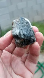20240307_113657.webp