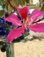 20240309_080650~2.webp