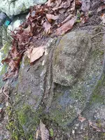 20240211_091053.webp