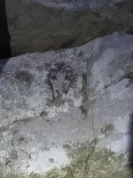 20240213_184303.webp