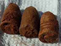 Explosive bullets.webp