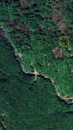 Greega-dowsershelp-1720.webp