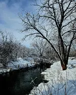 20240315_095642.webp