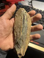 wood1.webp