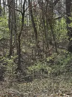 20240316_143750.webp