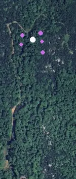 inbound163581563686108140-A.webp