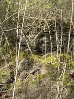 IMG_8840.webp