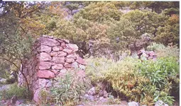 JR6.webp