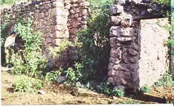 JR8.webp