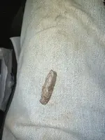 20240321_012438.webp