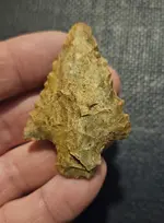 20240321_210451.webp