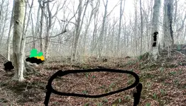 20231216_133745_HDR~4.webp