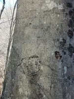 20230309_103915.webp