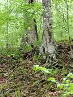 IMG_20230503_090458.webp