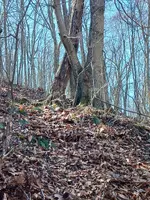 20230309_104923.webp
