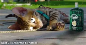 abkitty (Large).webp
