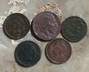 Indian_buffOP.webp