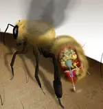 bee.webp