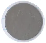 Great Bust Large Cent Obverse.webp