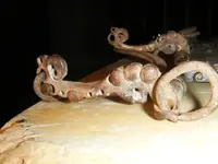 DSCF5876.webp