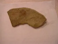 DSCF0256.webp