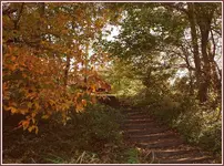 IMG_7901 stairs.webp