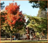 IMG_7767 playing in the park.webp