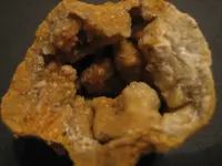 rock 1.webp