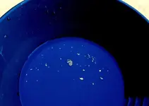 gold in pan 10-19-2008 5-06-03 PM.webp