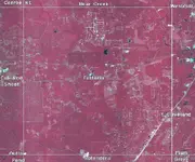 FOSTORIA.webp