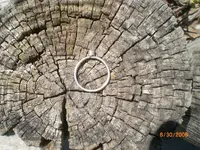 silver ring 003 (Large).webp