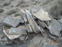 fallen (1408 x 1056) (1056 x 792).webp