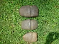 P7310197_resize.webp