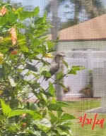 Screenshot_20240331_135151_Gallery.webp Screenshot_20240331_135151_Gallery.webp
